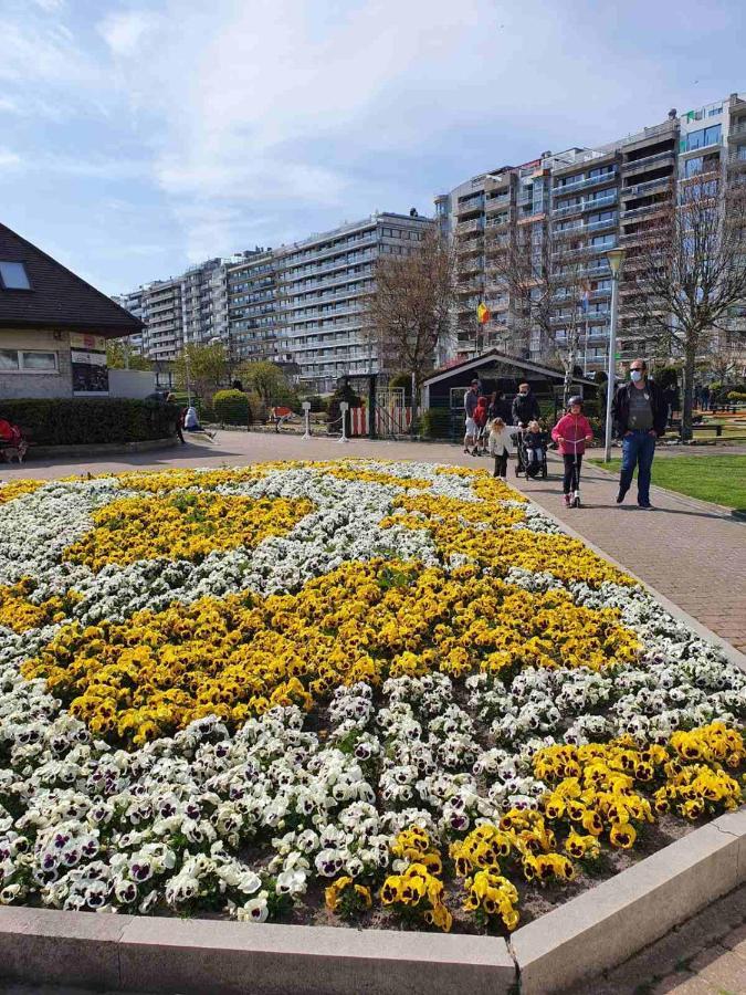 Sun And Fun Blankenberge Exterior foto